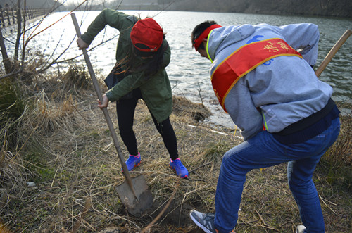 免费成人影片
开展义务植树活动