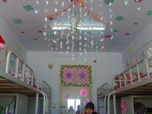 免费成人影片
开展“绿色家园”寝室评比活动