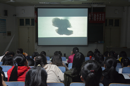 免费成人影片
开展经典影片观摩活动