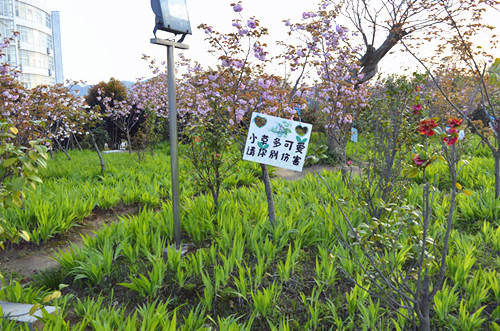 免费成人影片
举办挂树牌活动